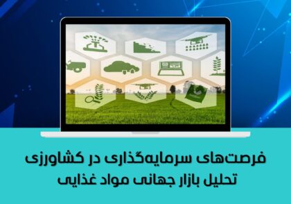 سرمایه گذاری